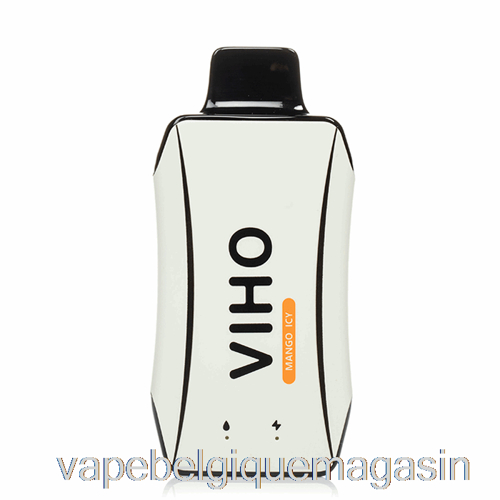 Vape Shop Bruxelles Viho Turbo 10000 Jetable Mangue Glacée